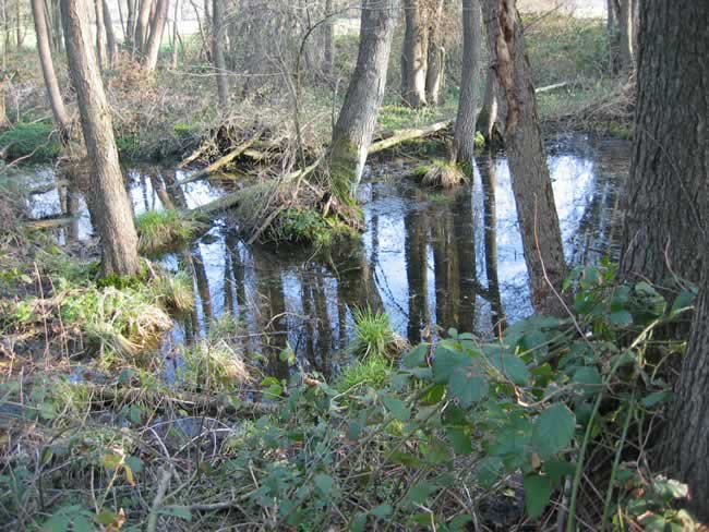 zeegserloopje